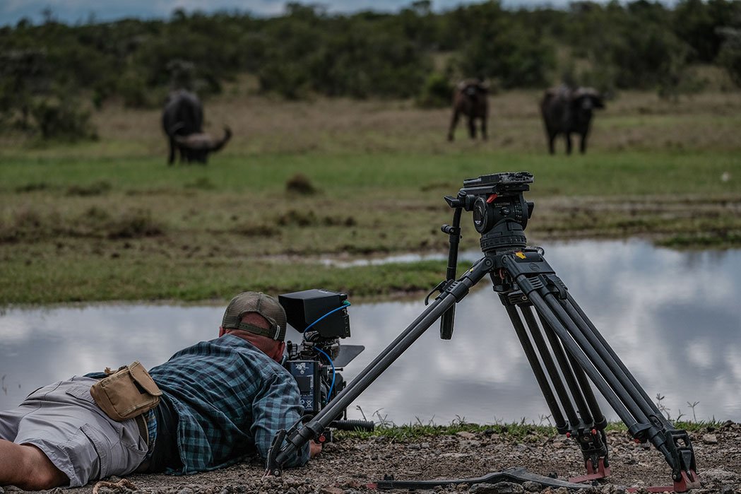 S objektivem za nosorožci, foto Janek Polanský