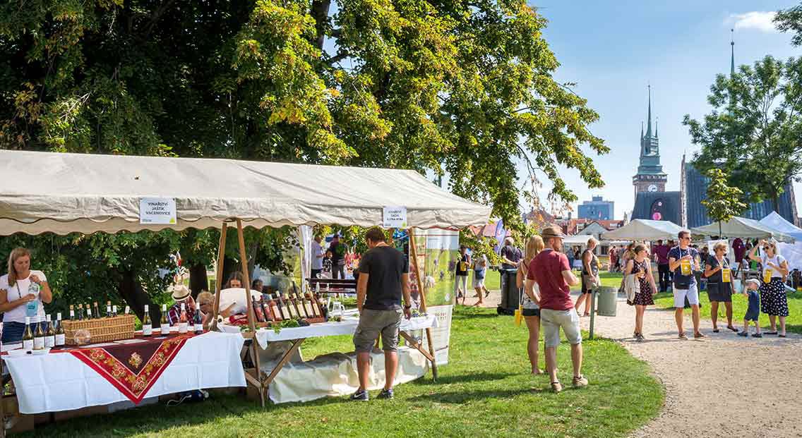 Pardubický festival vína, Zámek Pardubice