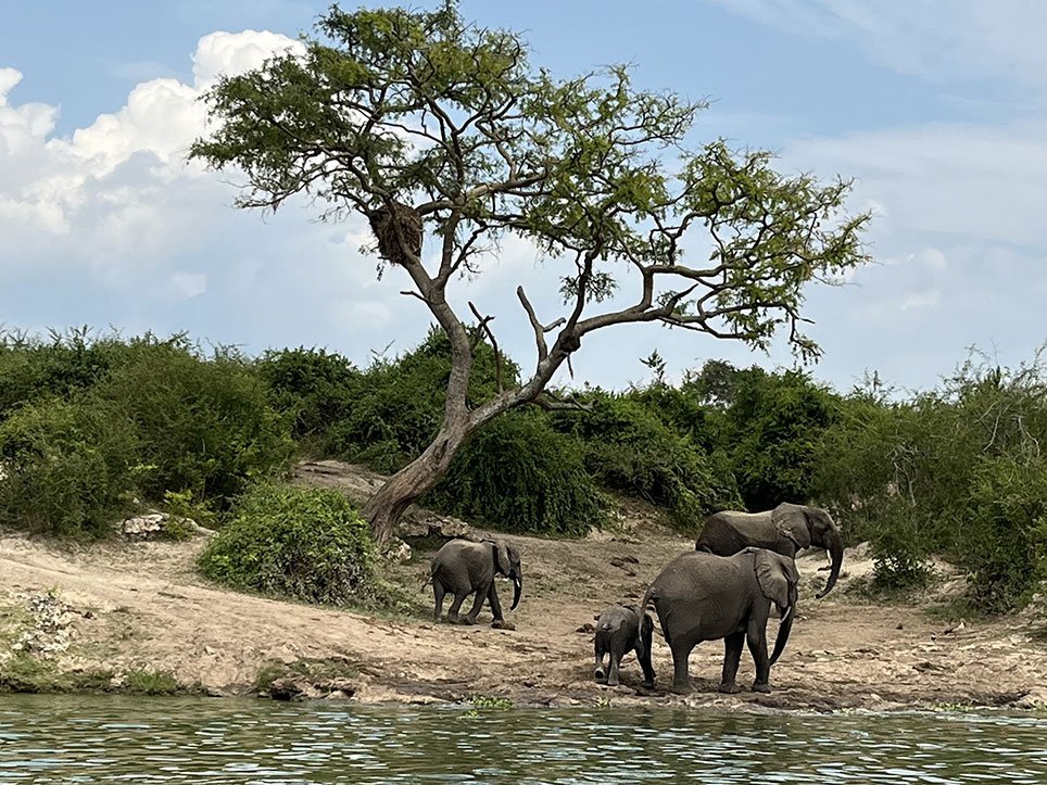 Uganda – země kontrastů, Jakub Kunát