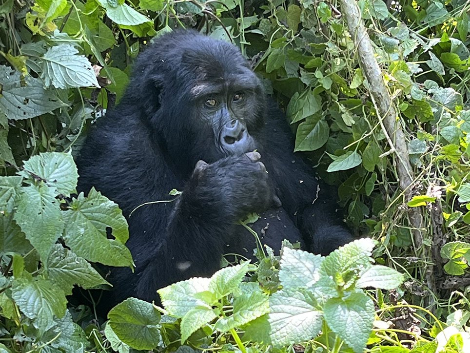 Uganda – země kontrastů, Jakub Kunát