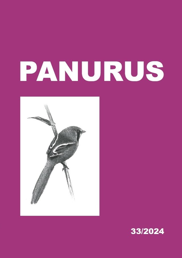 Panurus 33