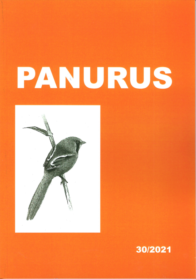 Panurus 30